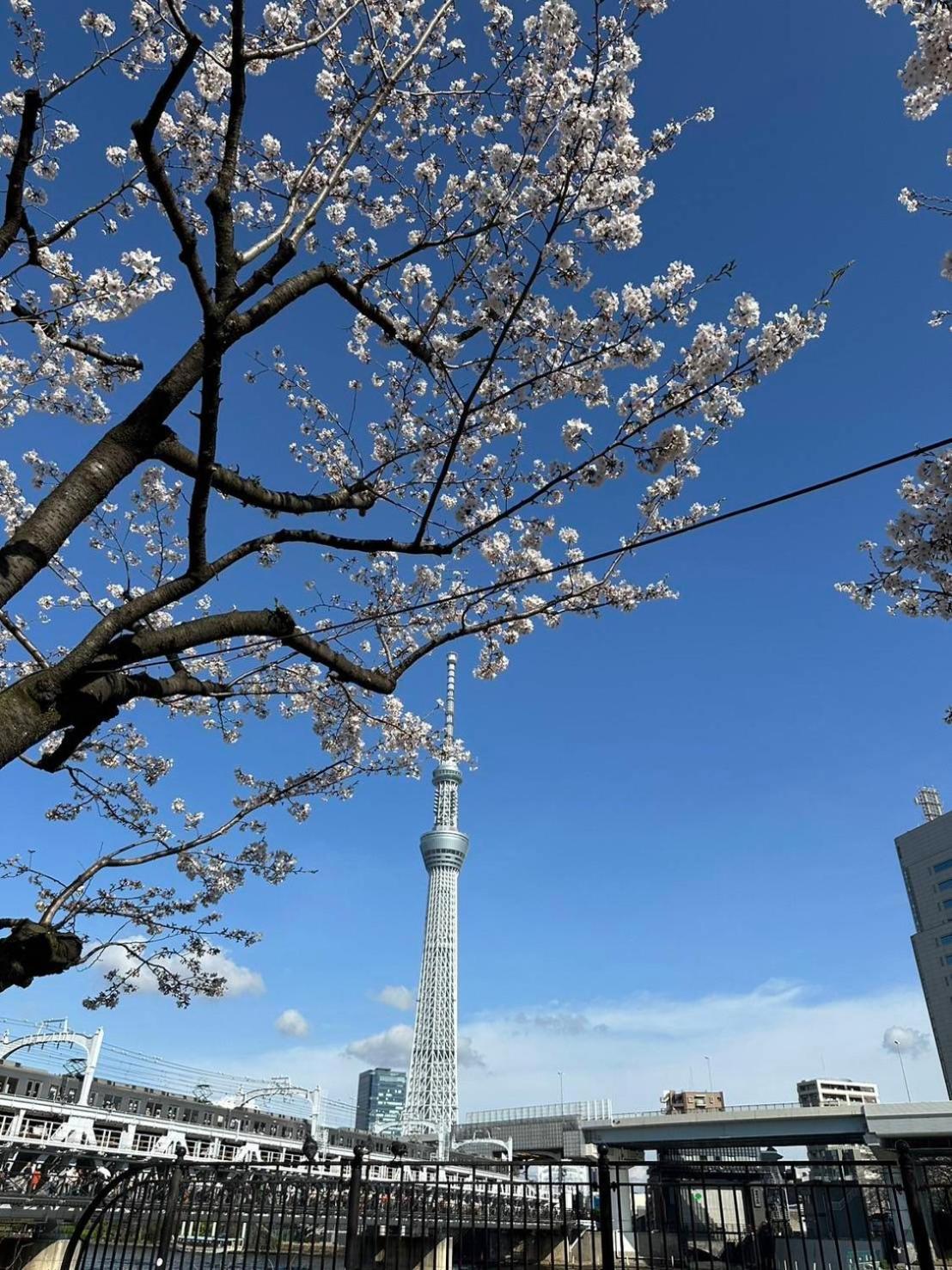 東京雷門ー千の森asakusa Tokyo Luaran gambar